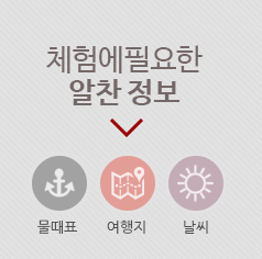 체험정보